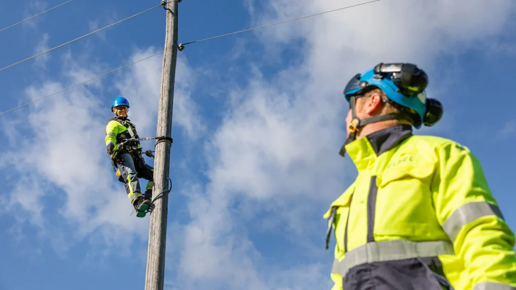 eltel_2020_12a7210_epi