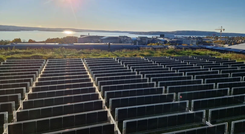 foto-over-easy_green-rooftop-001-til-web