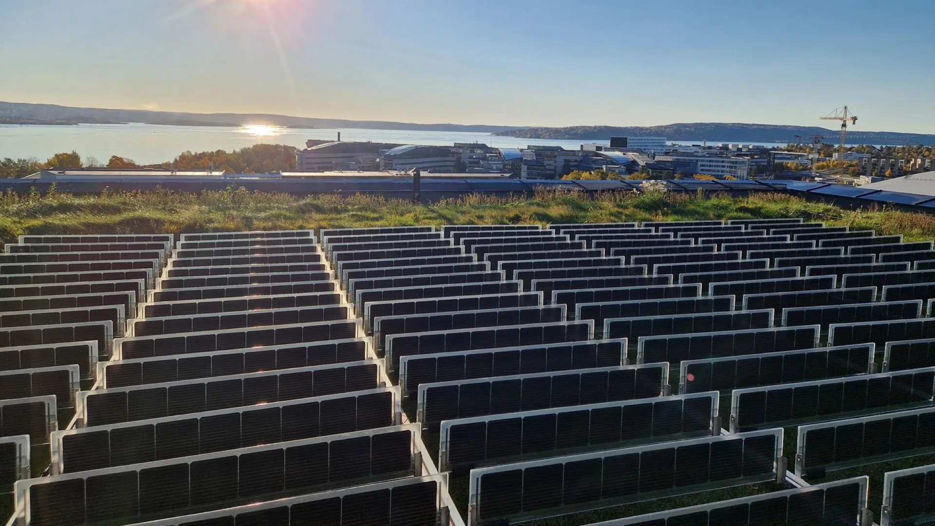 foto-over-easy_green-rooftop-001-til-web