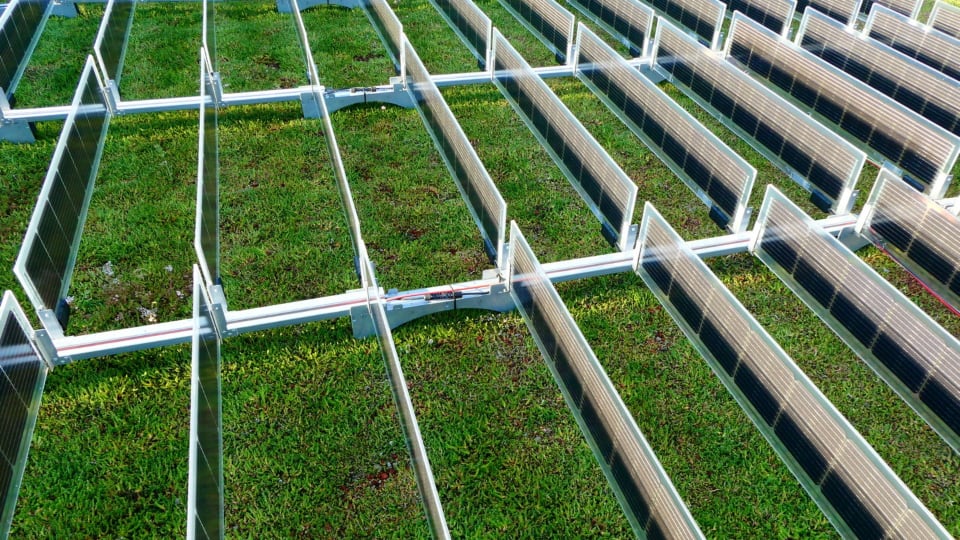 foto-over-easy_sedum-blanket-with-vertical-solar-panels-til-web